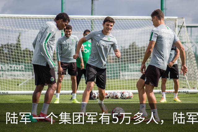 陆军一个集团军有5万多人，陆军却有95万人，到底怎么回事
